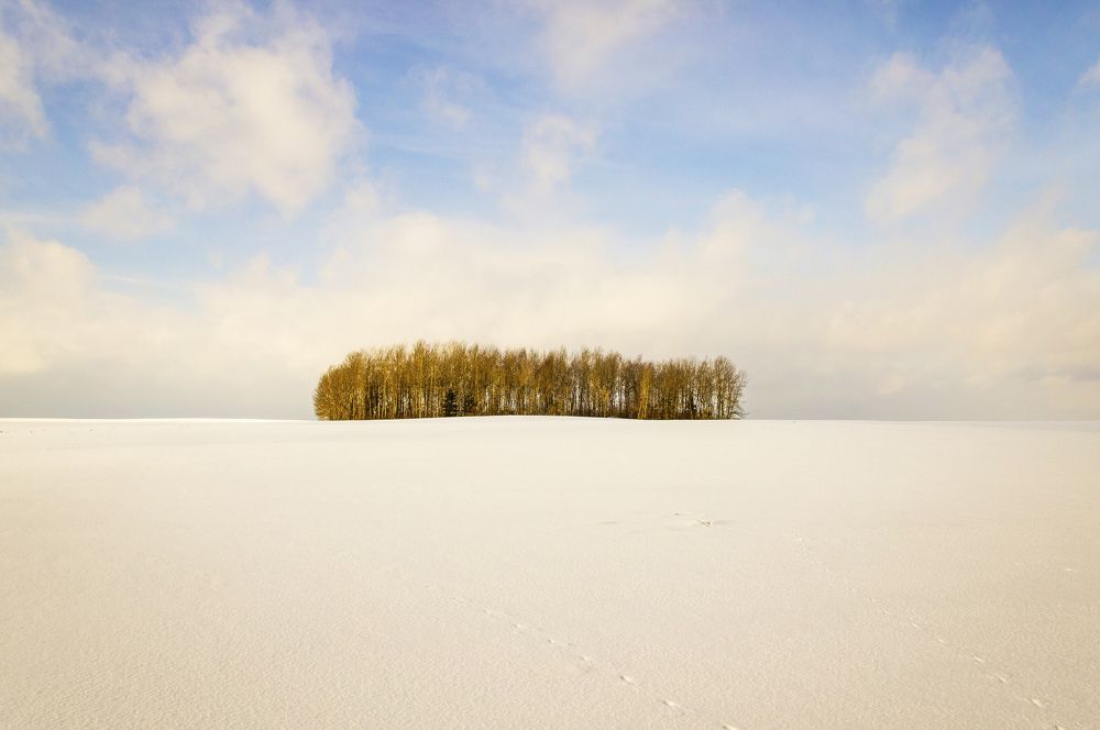 Photograph by Павел Минкевич