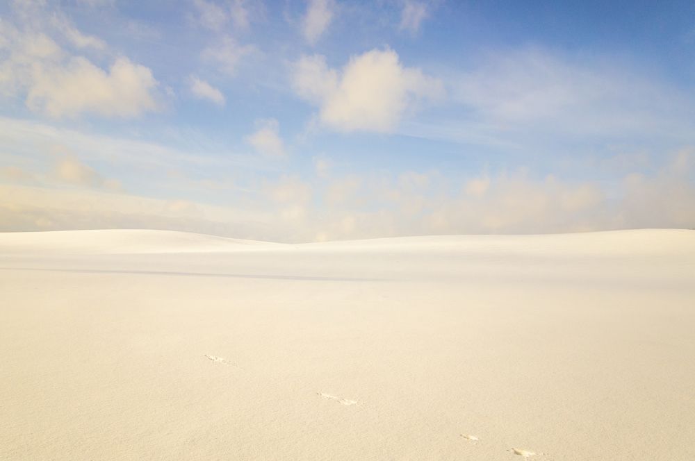 Photograph by Павел Минкевич