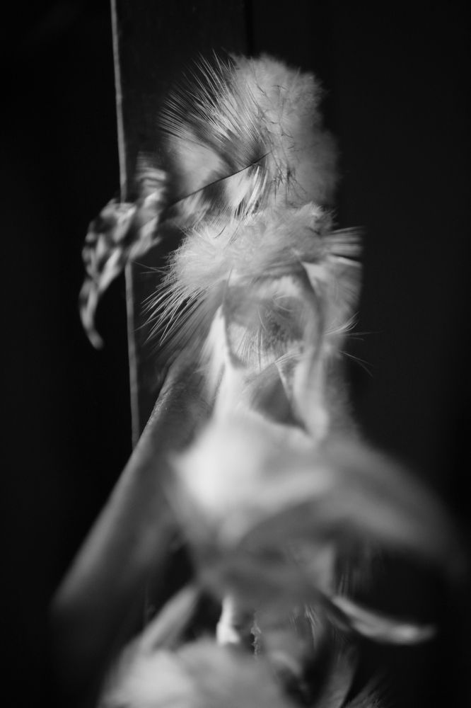 Photograph by RENAN TREVIZAN SANTOS