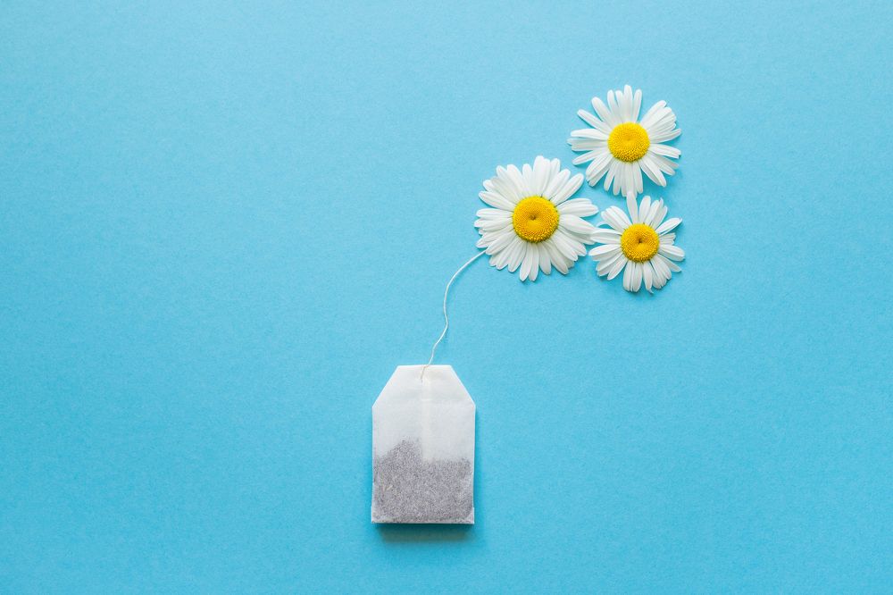 Photograph by Елена Ельшина