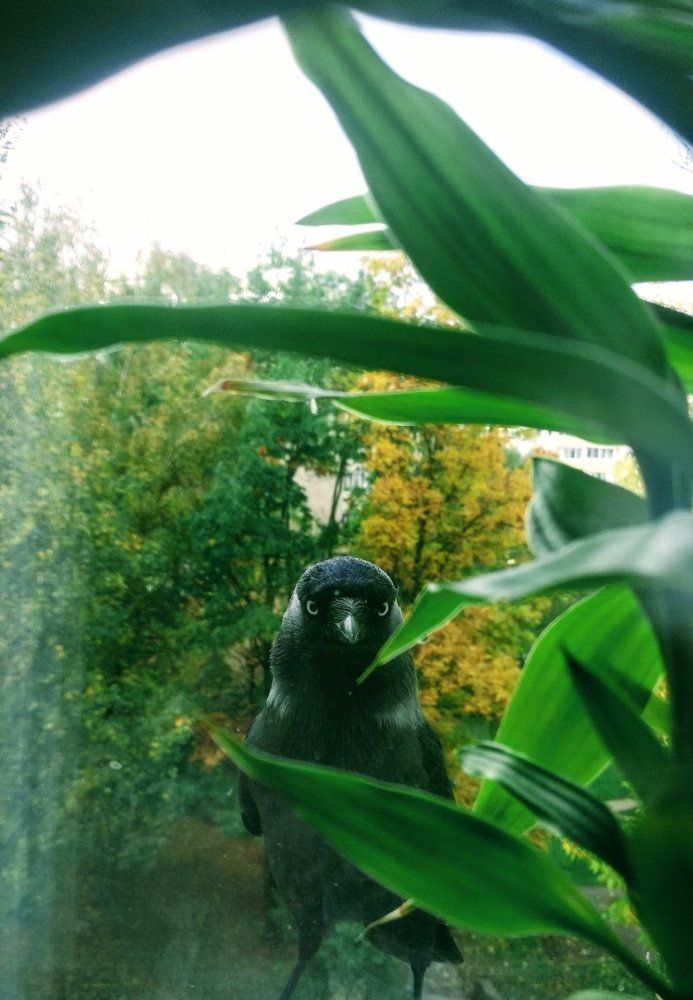 Photograph by Леся Береснева