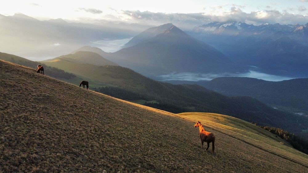Photograph by Евгений Антонов