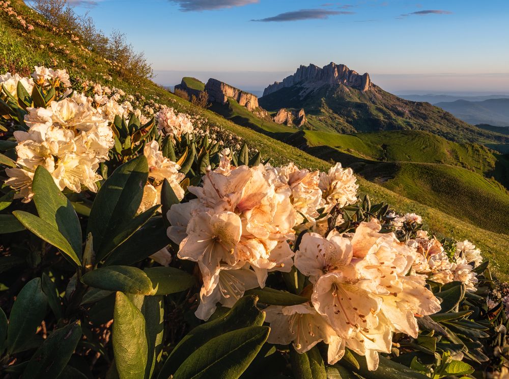 Photograph by Евгений Антонов