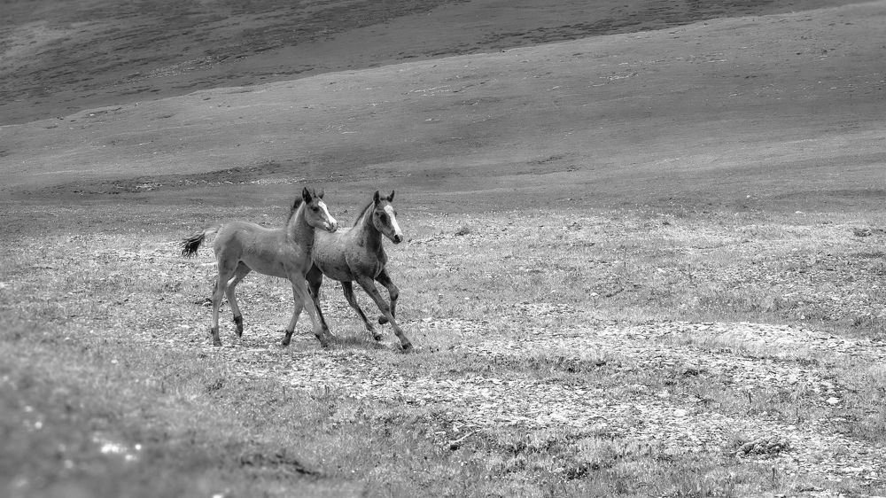 Photograph by Николай Васильев