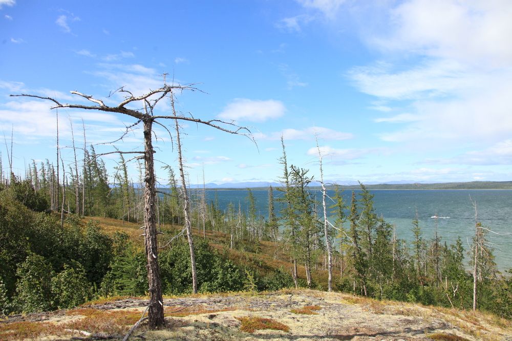 Просторы Таймыра