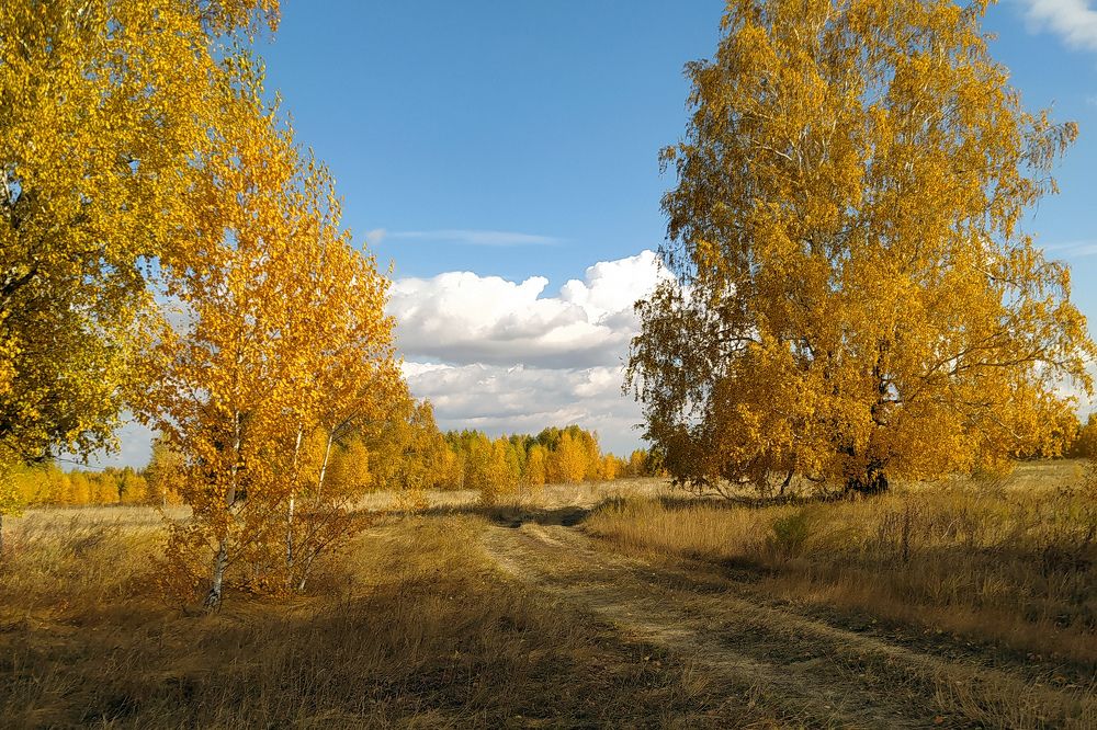 Photograph by Irina Nazarova