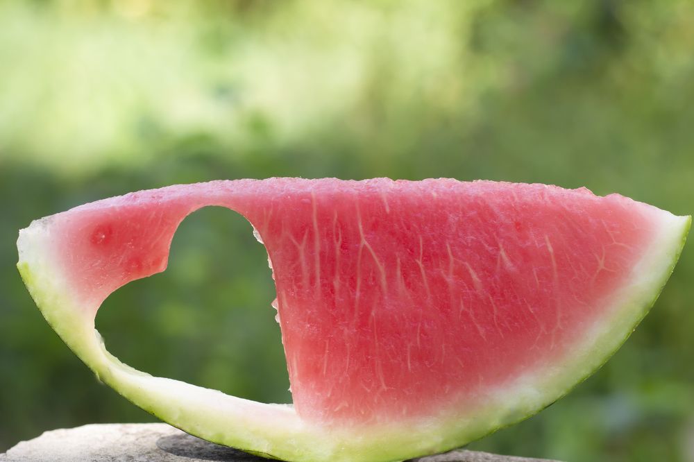 Photograph by Дарья Ващенко-Панкина