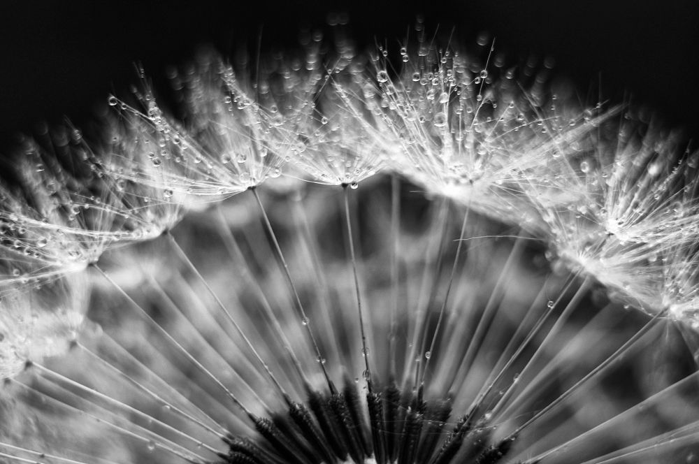 Фотография автора Пётр Чирков