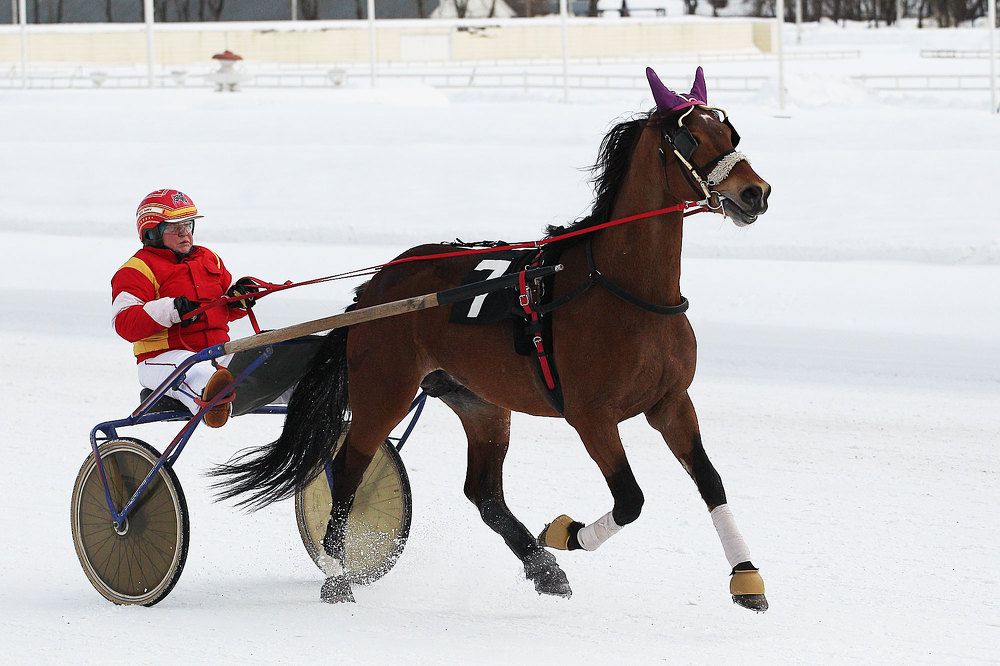 Photograph by Иван Мороз