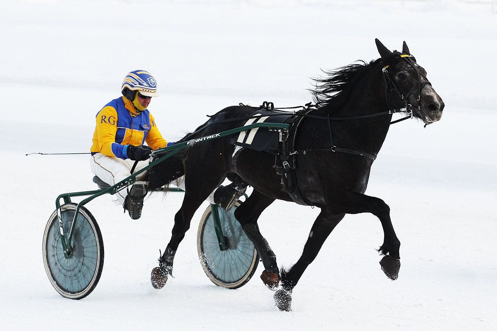 Photograph by Иван Мороз