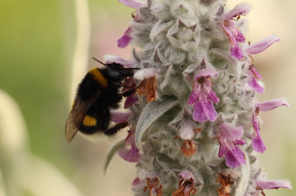 Photograph by Алексейчик Дмитрий