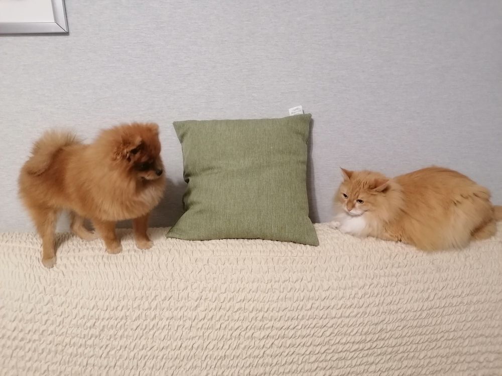 Photograph by Олег Россохин