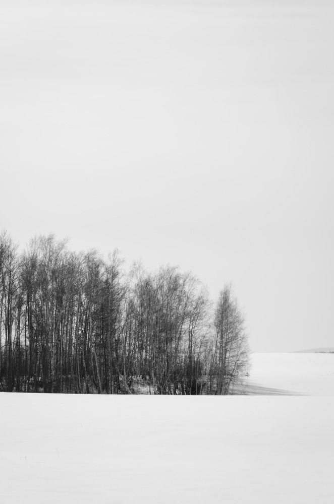 Photograph by Дмитрий Зуев