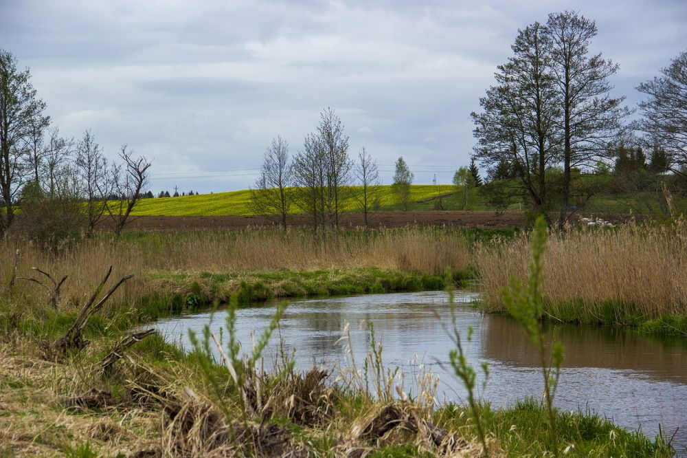 Photograph by Анна-Лаймуте Милошевич