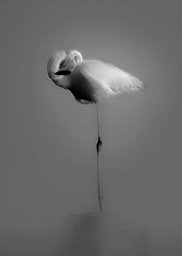 Photograph by Giuseppe Catalano