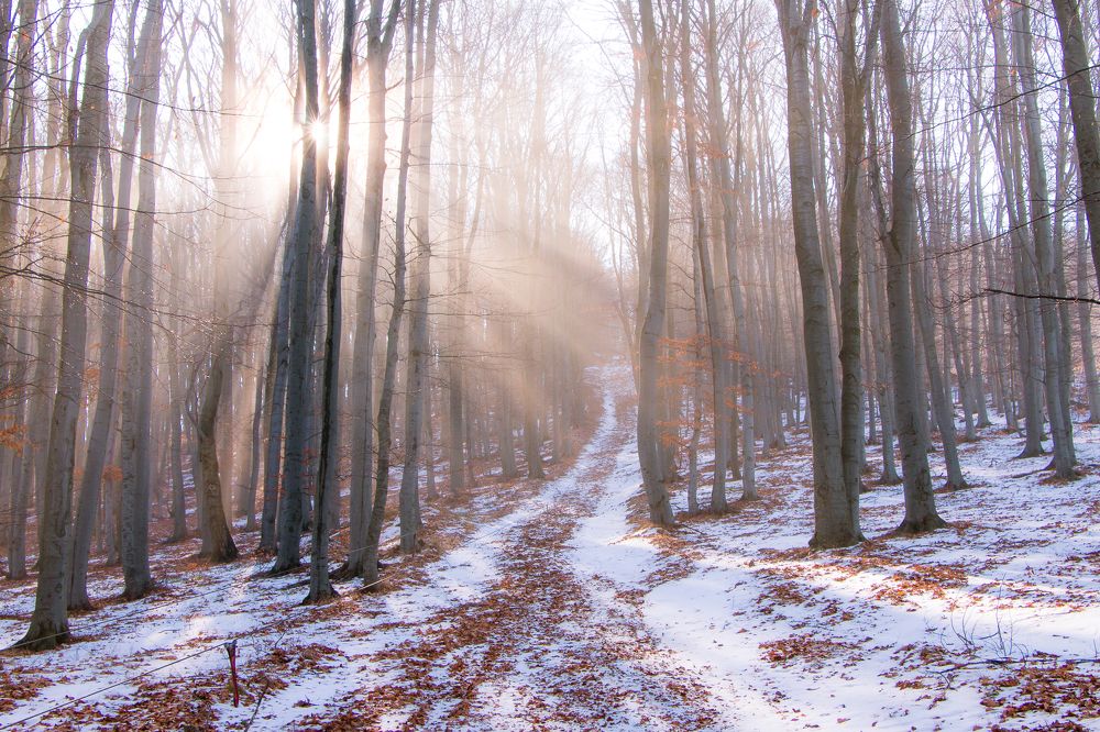 Photograph by Даниел Чобанов