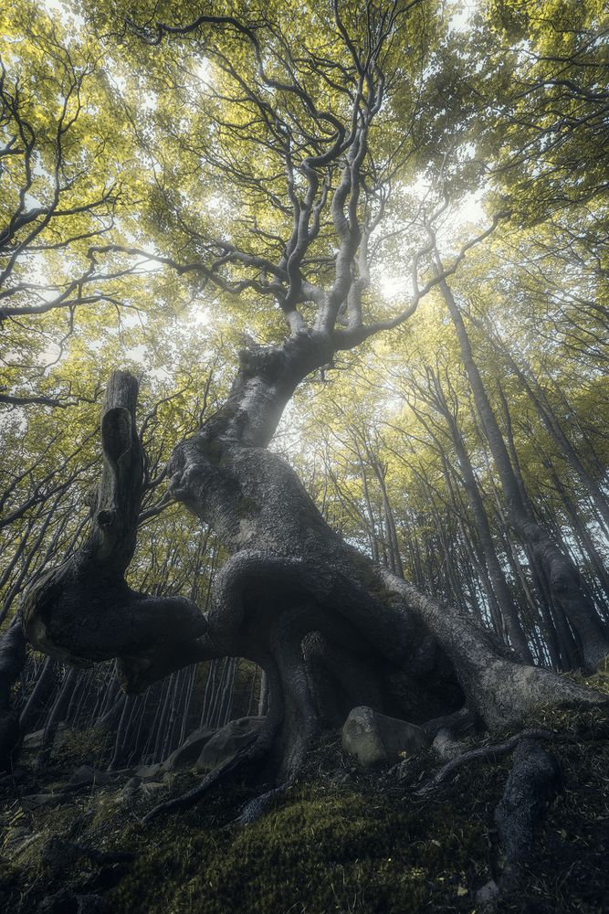 Photograph by edoardo orlandi