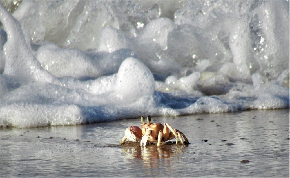 Photograph by Dylan Millson