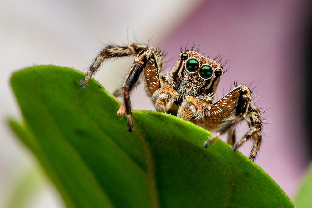 Photograph by Chua Bing Guan