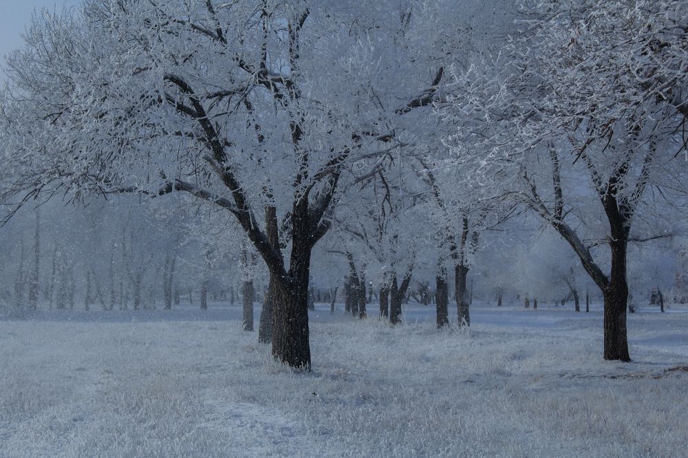 Photograph by Анна Толмачева