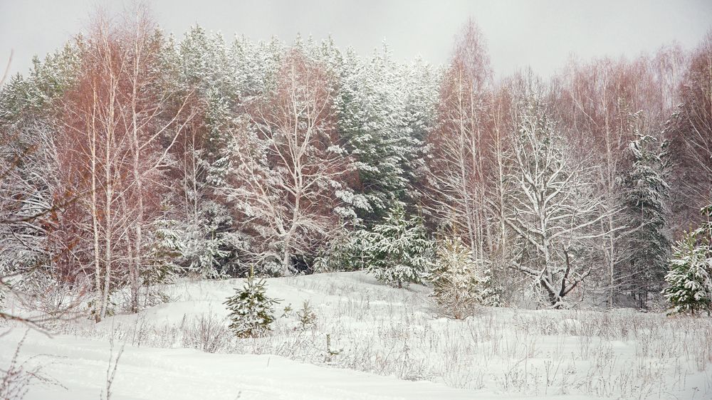 Photograph by Екатерина Саламайкина