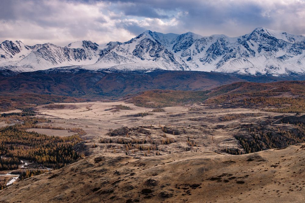 Photograph by Анастасия Сауль