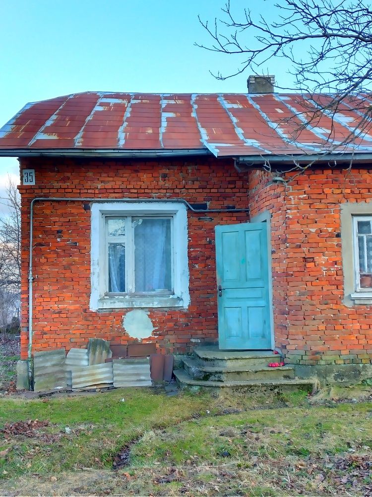 Photograph by Надія Дичка