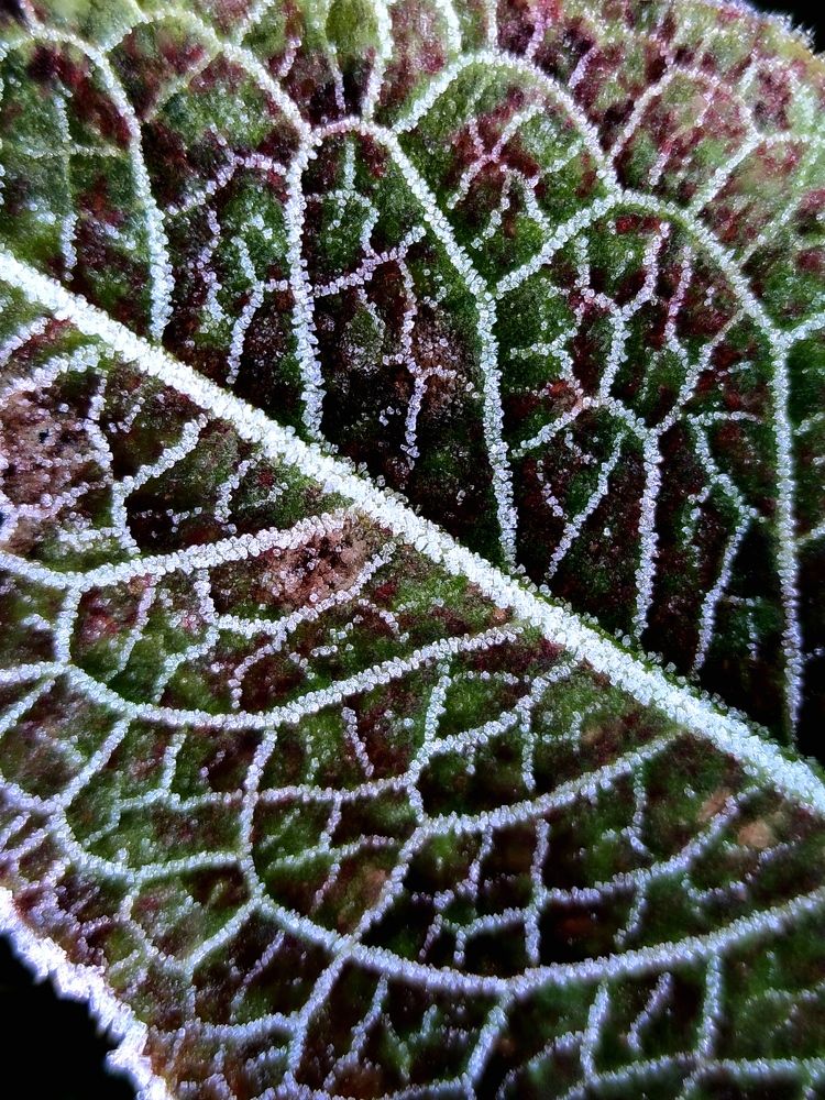 Photograph by Инна Макарчук