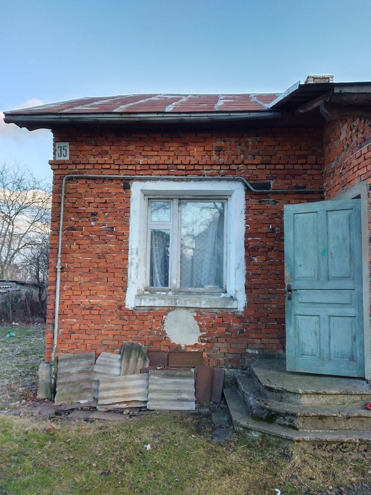 Photograph by Надія Дичка