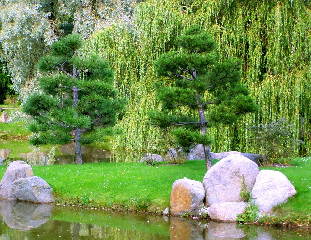 Photograph by Mарина Лесницкая