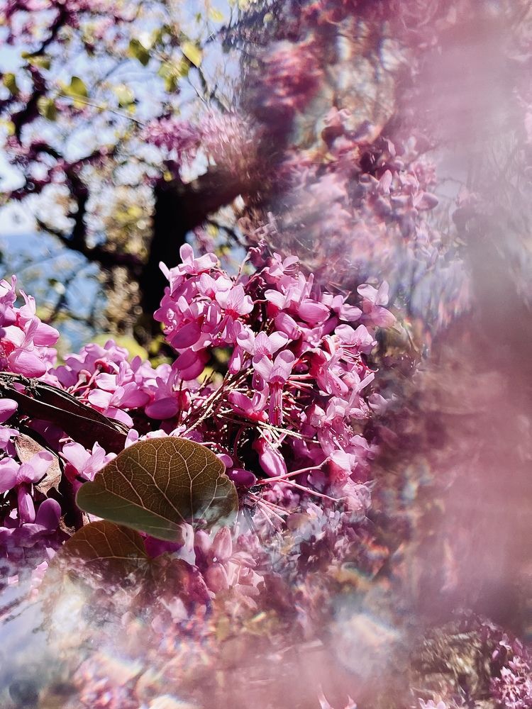 Photograph by ANDREY ZARUBIN