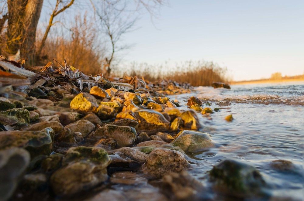 Photograph by Дмитрий Граждан