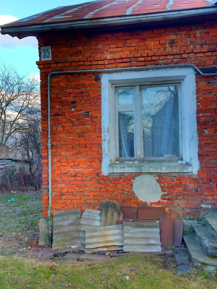 Photograph by Надія Дичка