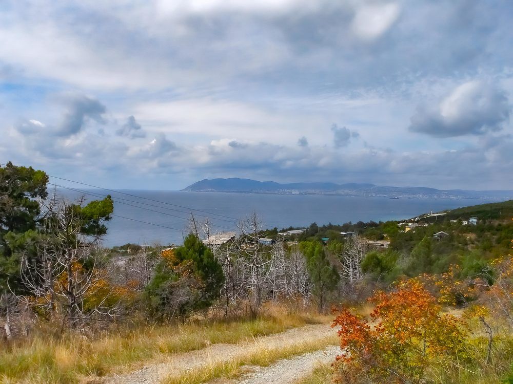 Photograph by Дмитрий Граждан