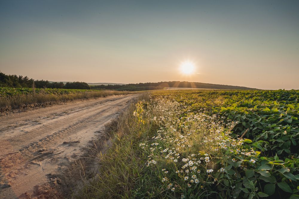 Фотография автора Владислав Марухин