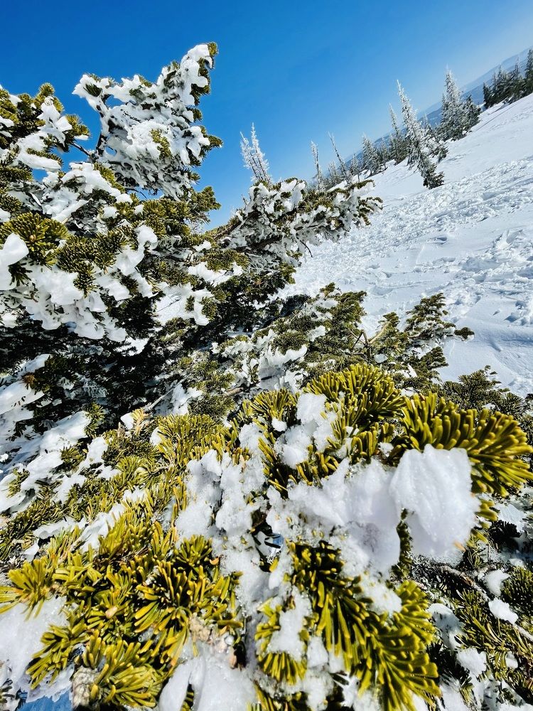 Photograph by ANDREY ZARUBIN