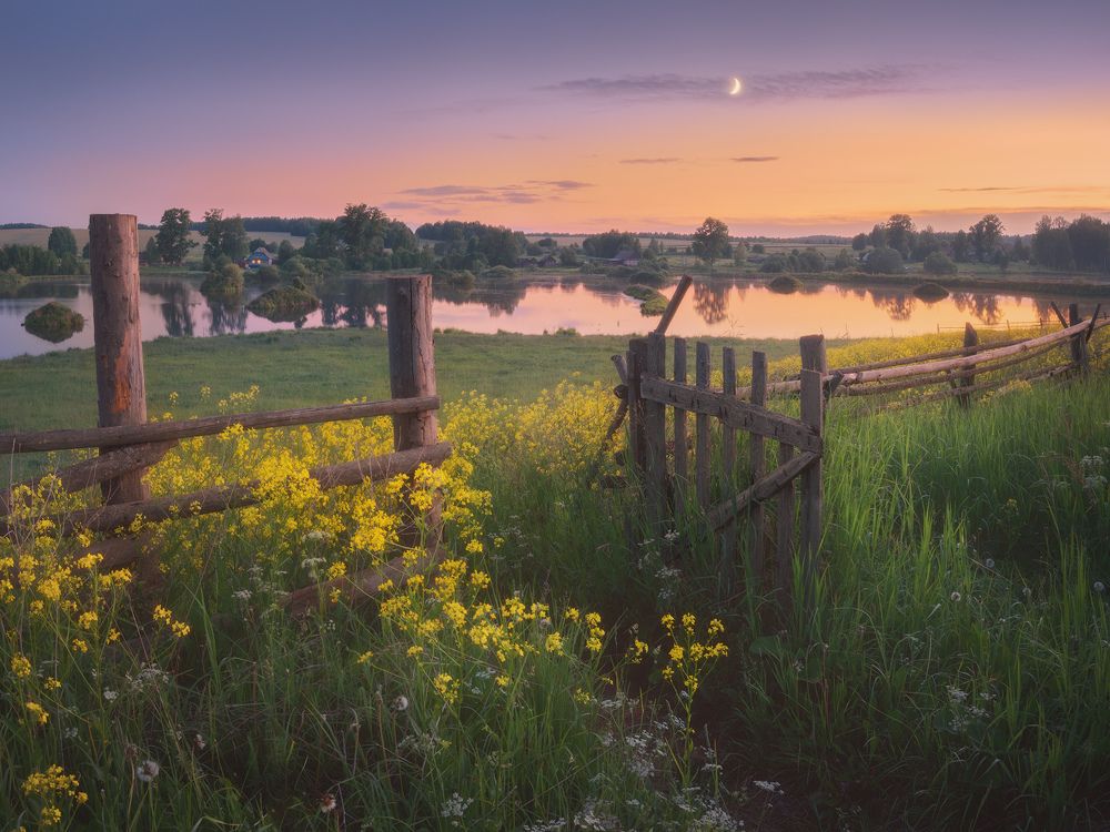 Photograph by Дмитрий Медянцев