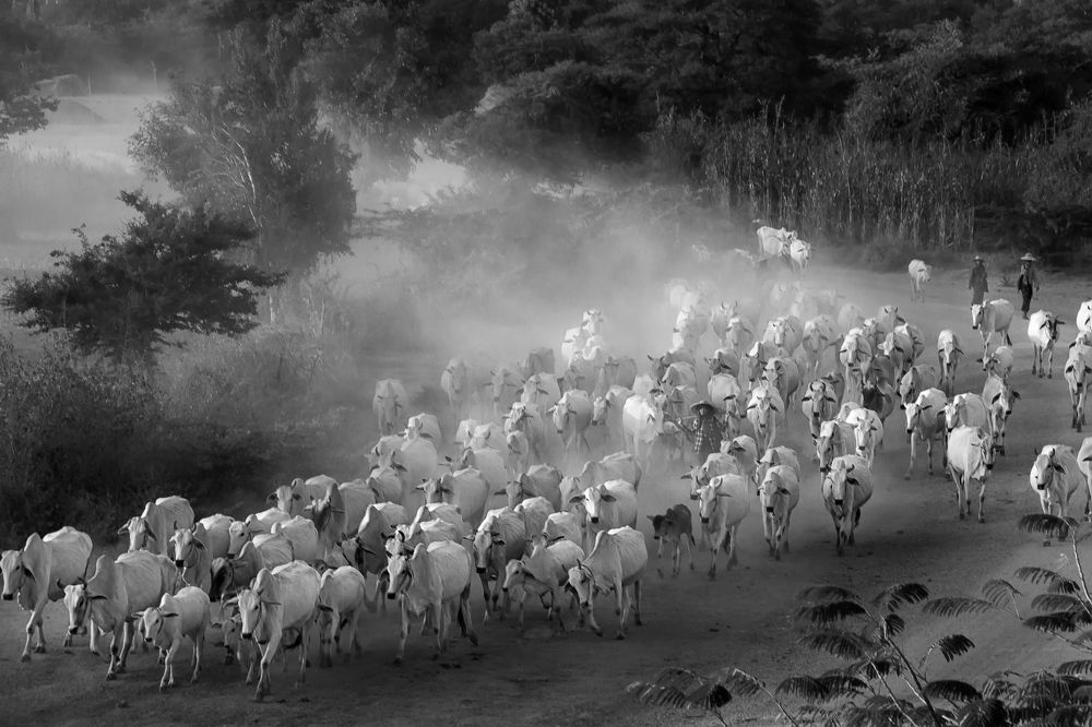 Фотография автора Pyii Zone Aung