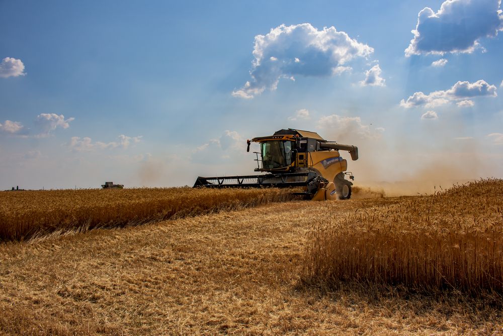 ГАРЯЧИЙ ПОЛДЕНЬ