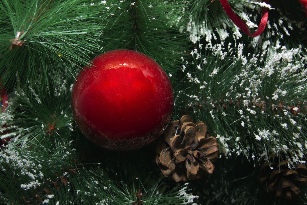 Photograph by Асмик Саргсян