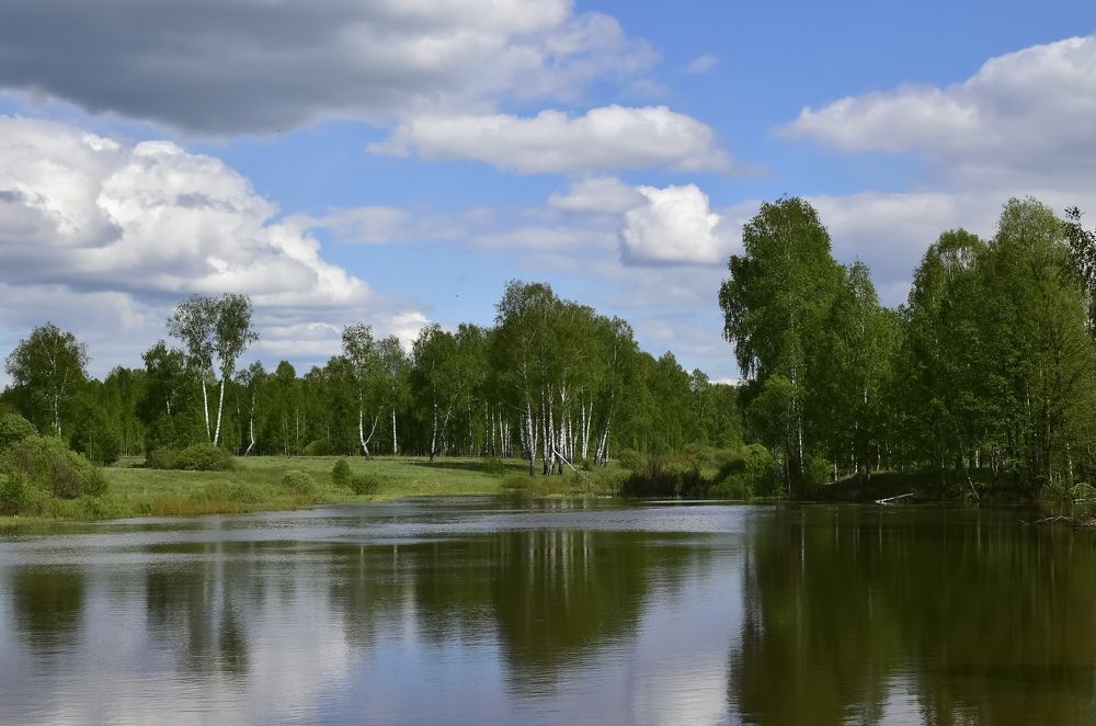 Старый пруд.