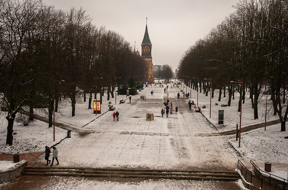 В вечернем парке