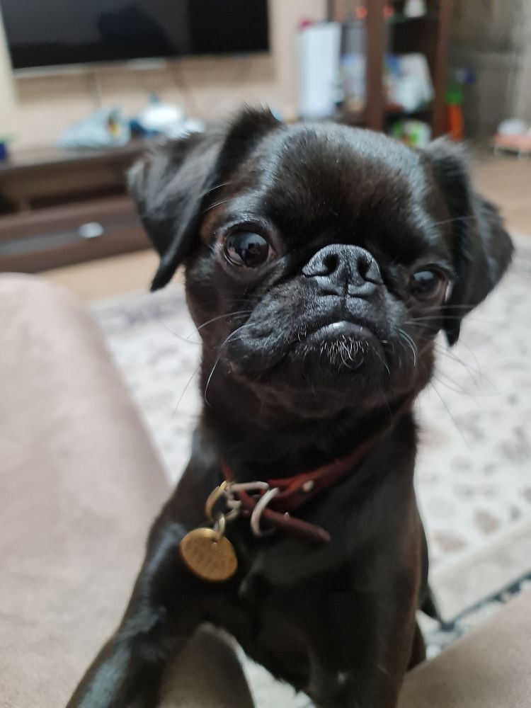 Photograph by Роман Сычев