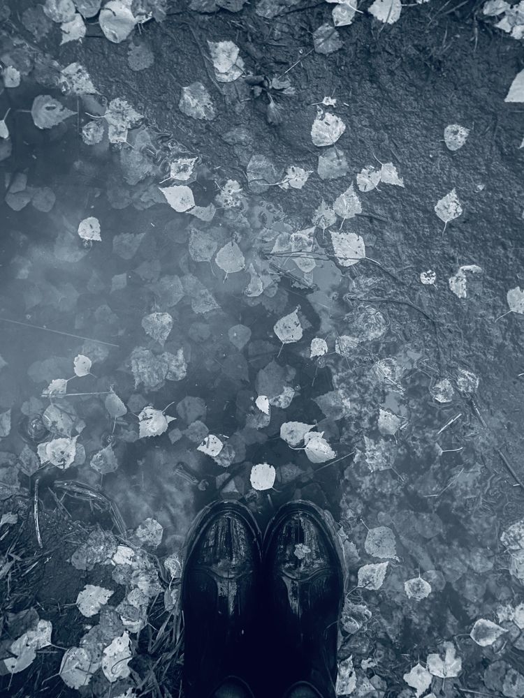 Photograph by Марина Урусова