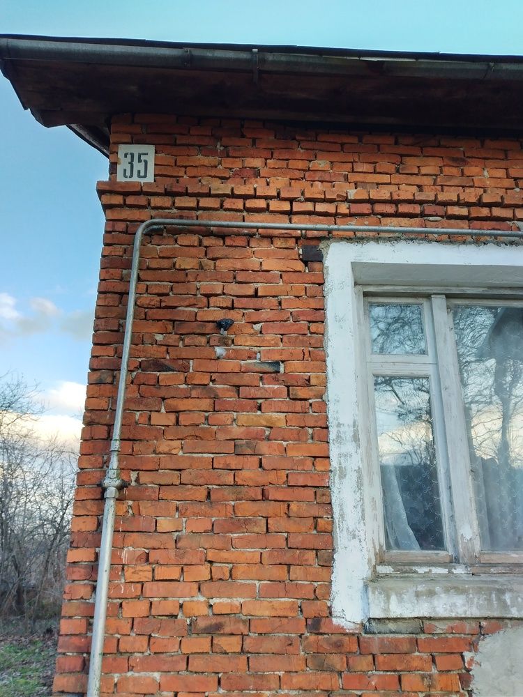 Photograph by Надія Дичка