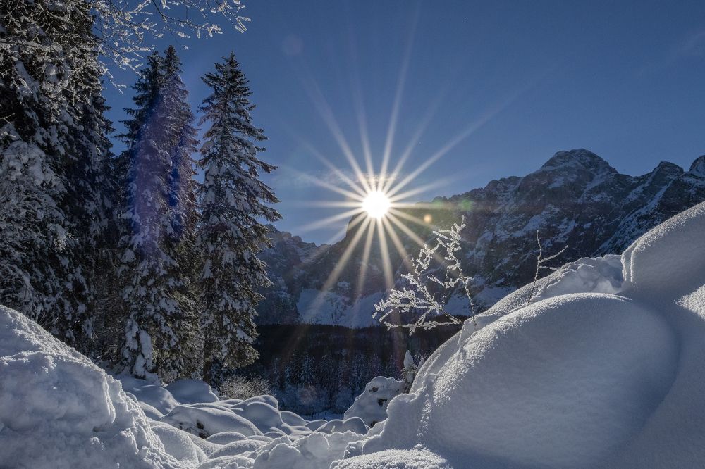 Photograph by Ksenija Planinc Kiridžiev