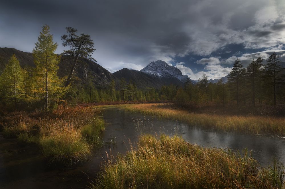 Солнце и дождь в протоке ручья Неведомый