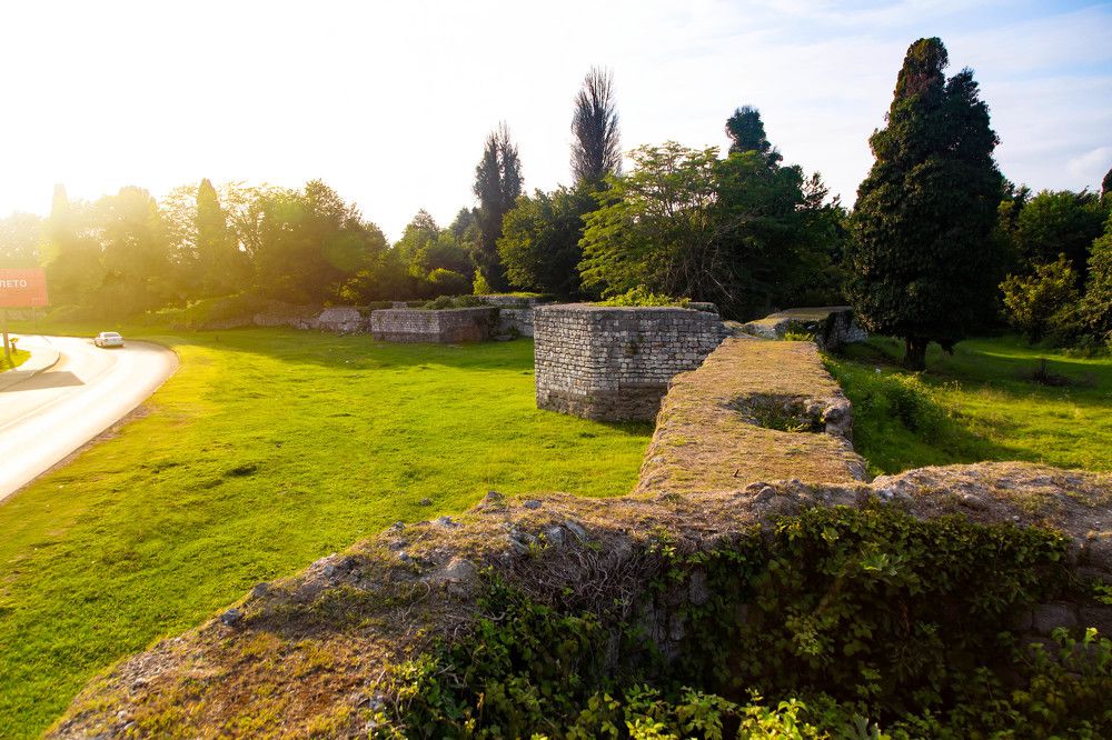 Photograph by Алёна Суслова