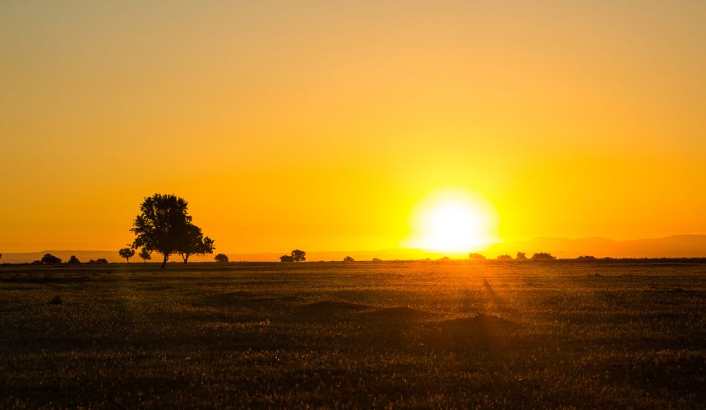 Photograph by Владислав Сапрыкин