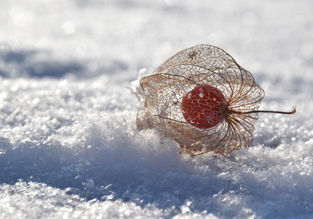 Photograph by Наталия Полякова